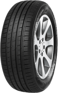205/65 R 16   95H   MINERVA   F209