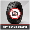 225/40 ZR 19   93Y   NEXEN   N'FERA Sport XL
