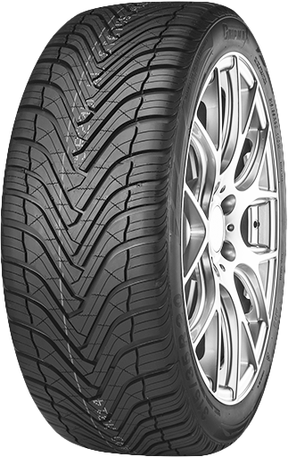 285/35 R 21   105W XL   GRIPMAX   SUREGRIP AS