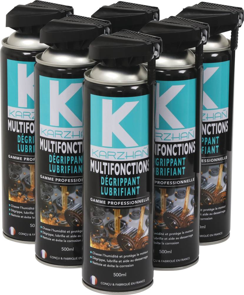 BOX 48 AEROSOLS 500ML MULTIFONCTION