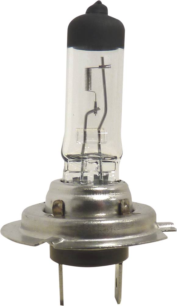AMPOULE H7 12V 55W /BLISTER