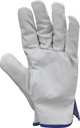 GANT -T10 TOUT CUIR DE BOVIN