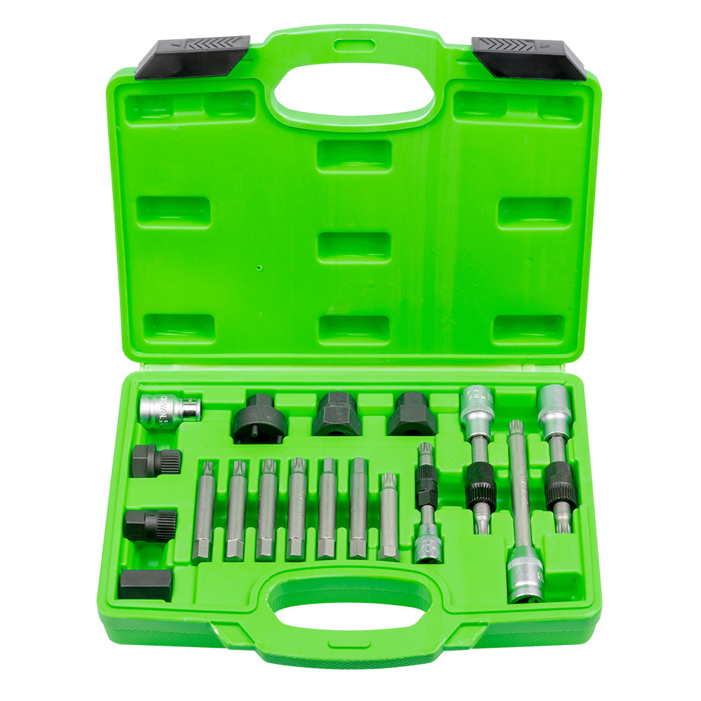 KIT DEMONT POULIE ALT 