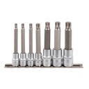 RAIL A DOUILLES 12 PANS